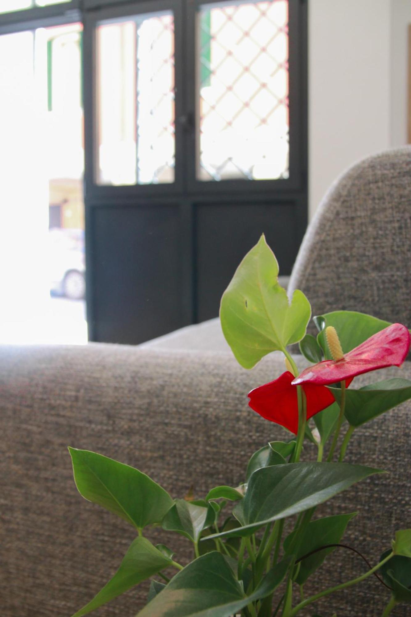 U Zone Apartment Bolonya Dış mekan fotoğraf